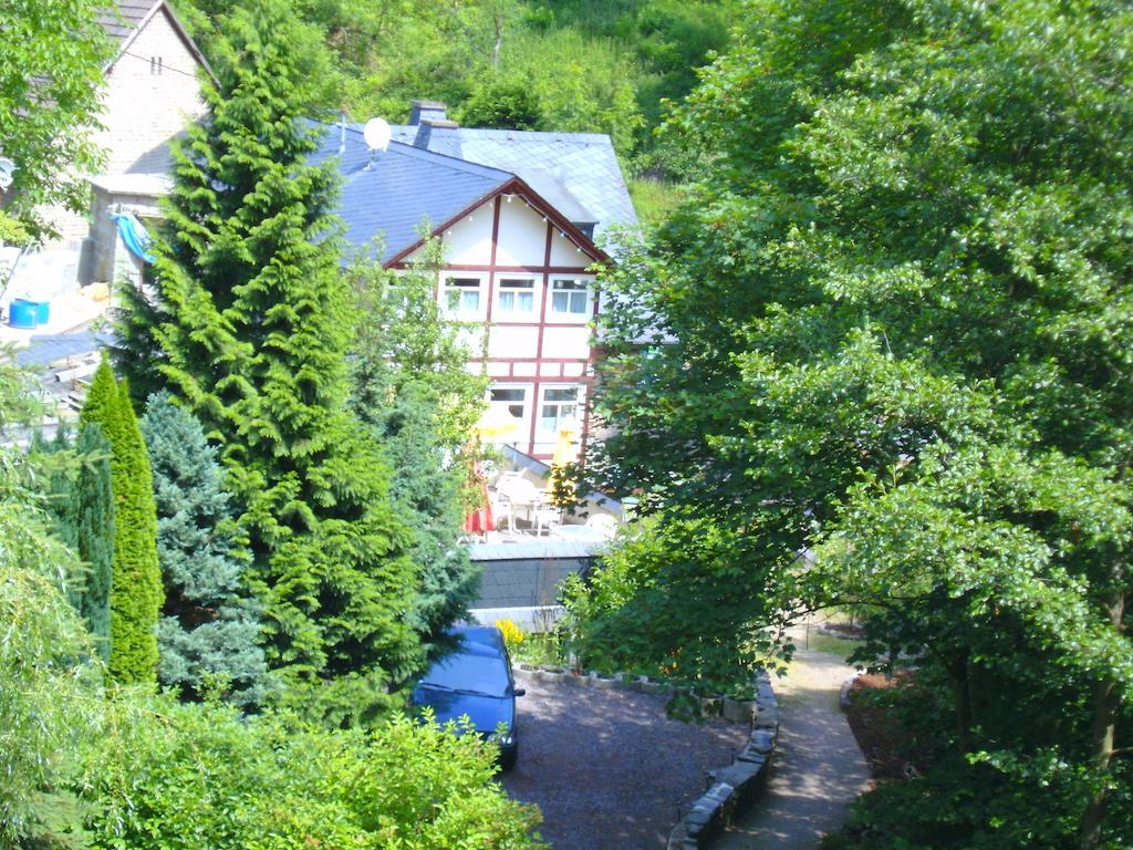 Pension & Apartments Linkemuehle Niederfell المظهر الخارجي الصورة