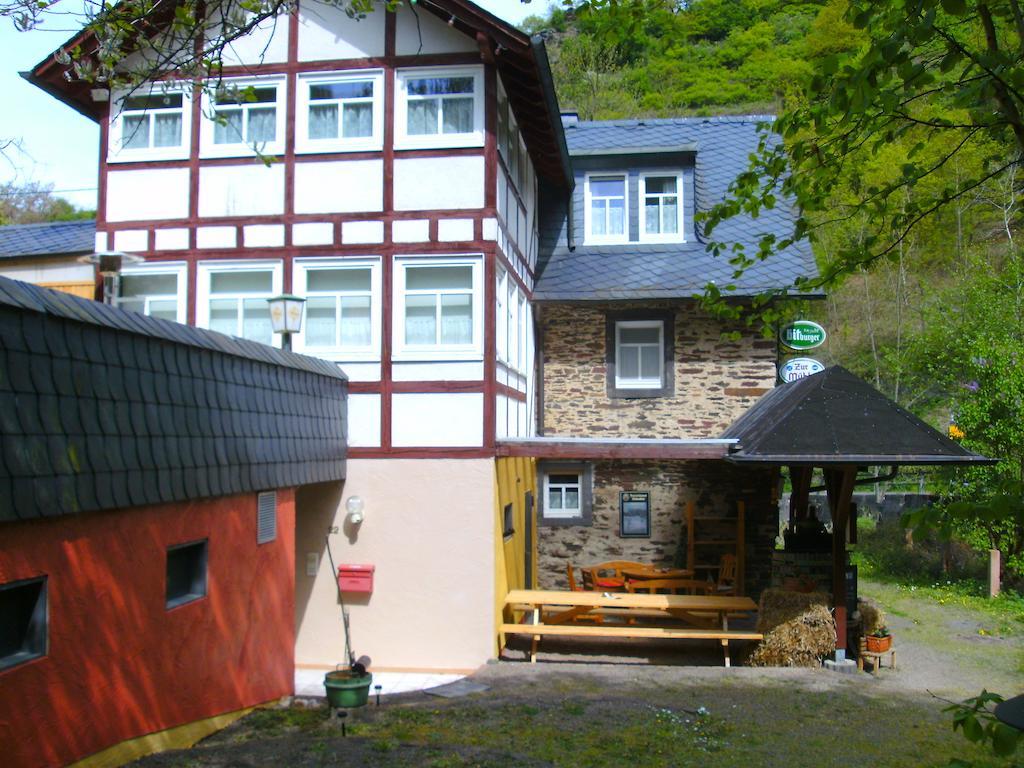 Pension & Apartments Linkemuehle Niederfell المظهر الخارجي الصورة
