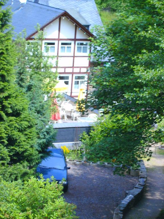 Pension & Apartments Linkemuehle Niederfell المظهر الخارجي الصورة