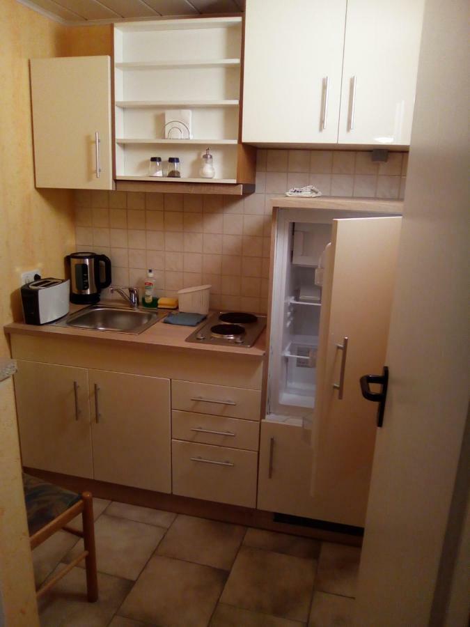 Pension & Apartments Linkemuehle Niederfell المظهر الخارجي الصورة
